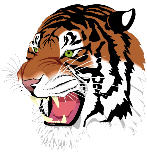 screenshot of tiger.svg rendered with NanoSVG rasterizer